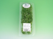 �����ѥե�å���ϡ��֡����㡼�ӥ�ʥ���ե������ ��1�ѥå�/��20��30g��