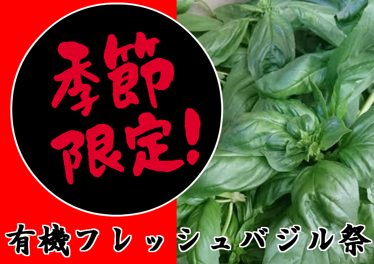 バジル