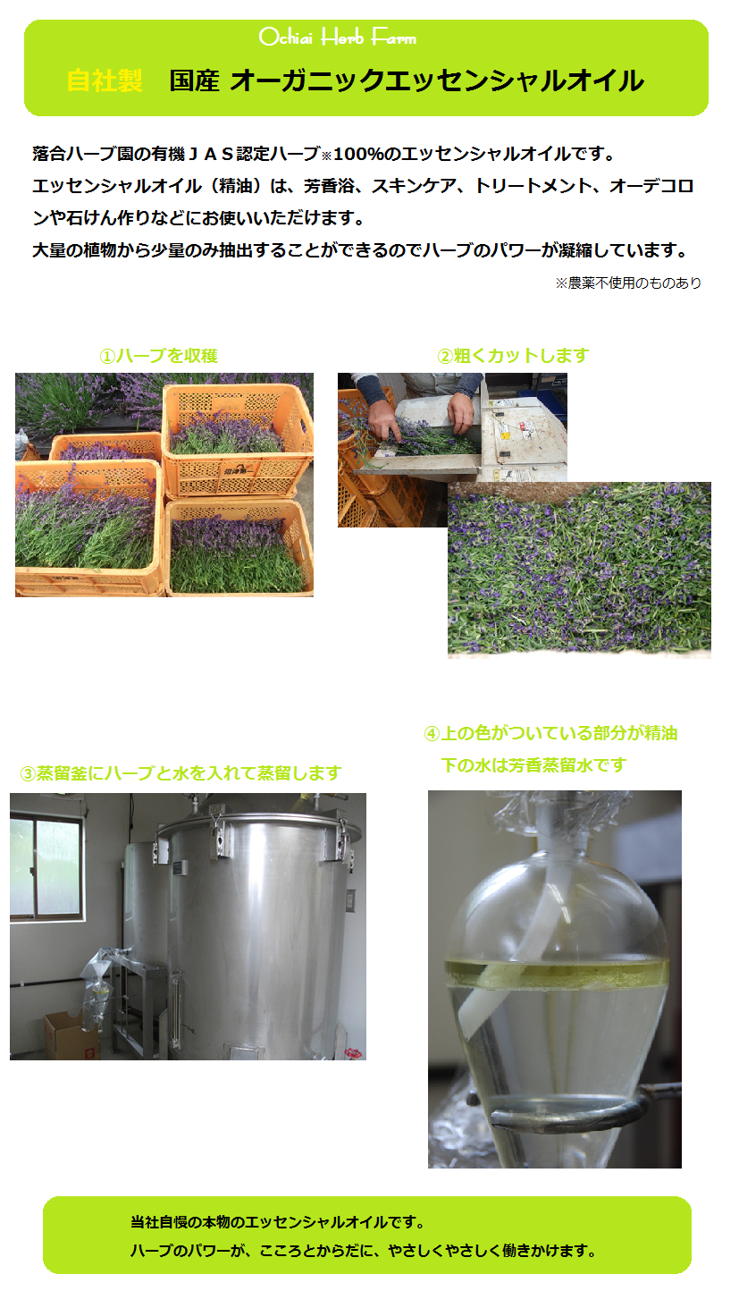 EOトップヘッダ