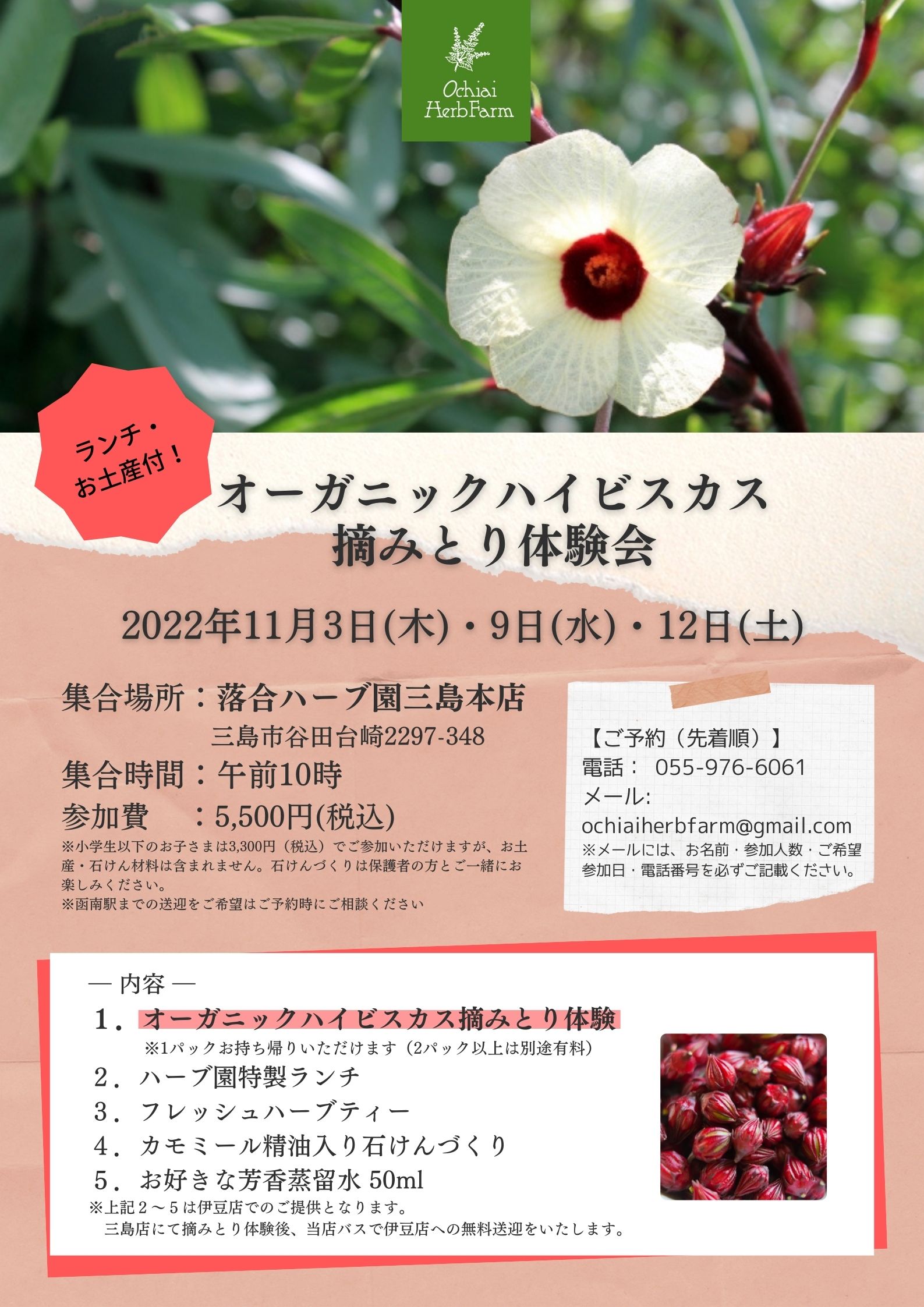 ハイビスカス摘みとり体験会