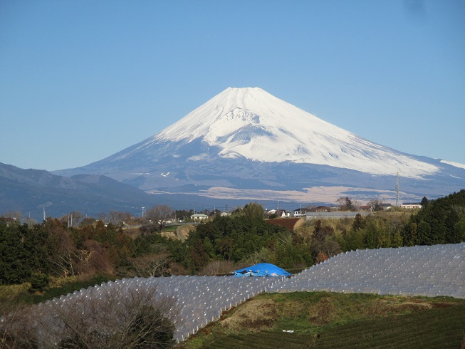 富士山