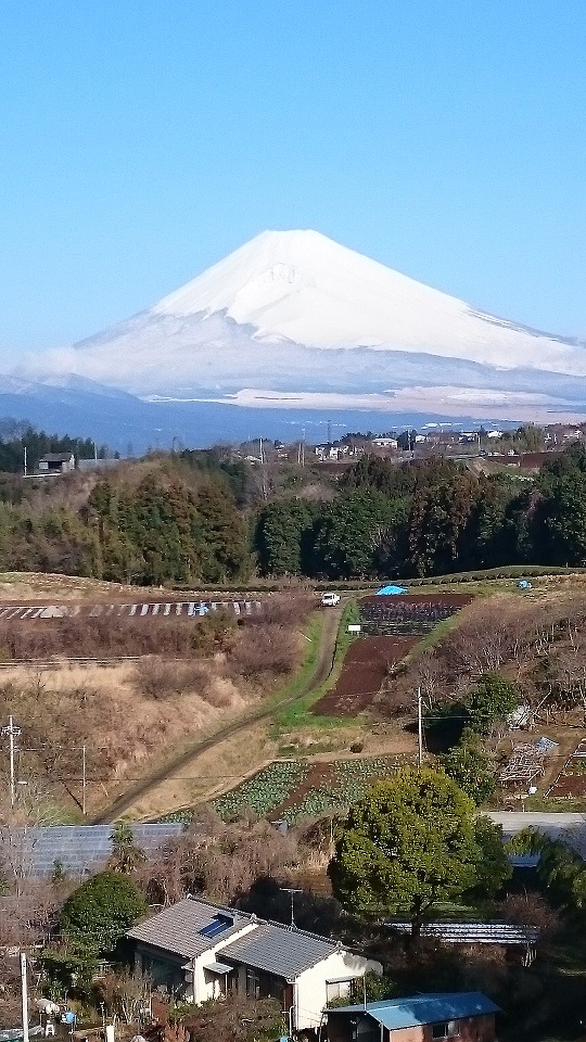 富士山3月