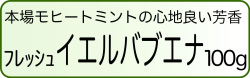 フレッシュオレンジミントバナー
