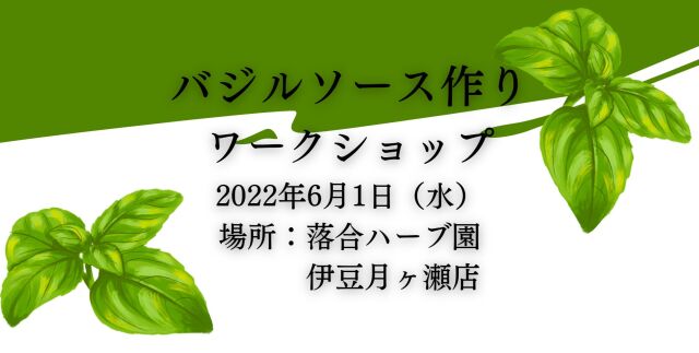 バジルソース作りワークショップ