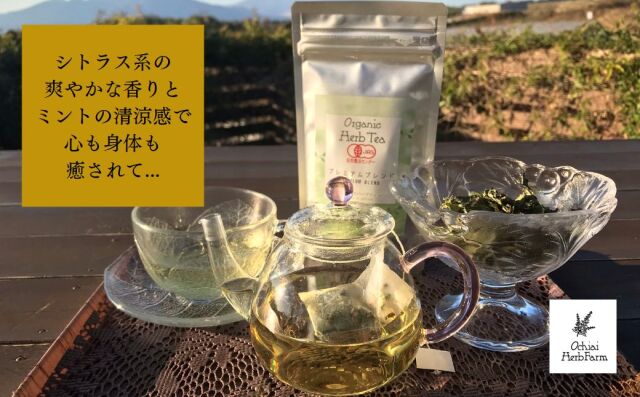 ふるさと納税返礼品_プレミアムブレンド
