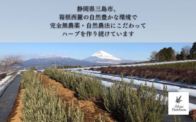 ふるさと納税返礼品_プレミアムブレンド