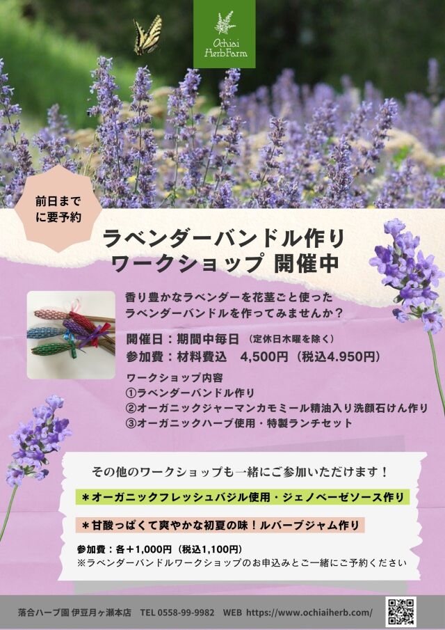 ラベンダー摘みとり体験(伊豆月ヶ瀬店)