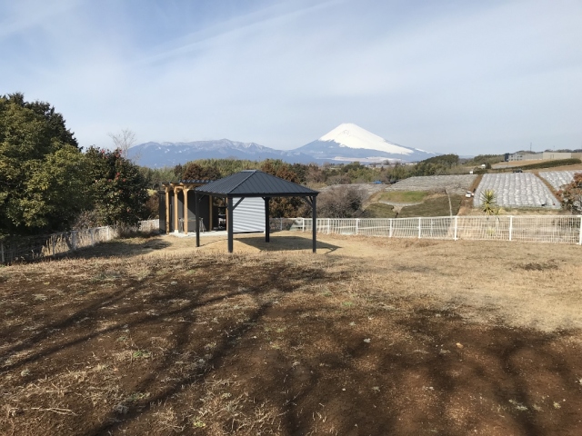 三島店ガーデンバーベキュー