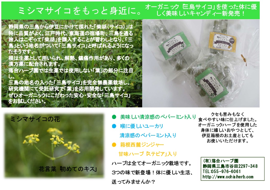 サイコキャンディ説明